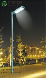 LED路灯 XJ-ZM-003